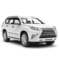 SafariBid Executive
